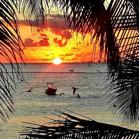 Sunshine Suite Playa del Carmen Zewnętrze zdjęcie